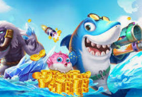 开云足球免费版