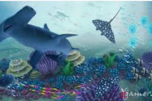 开云足球正式版